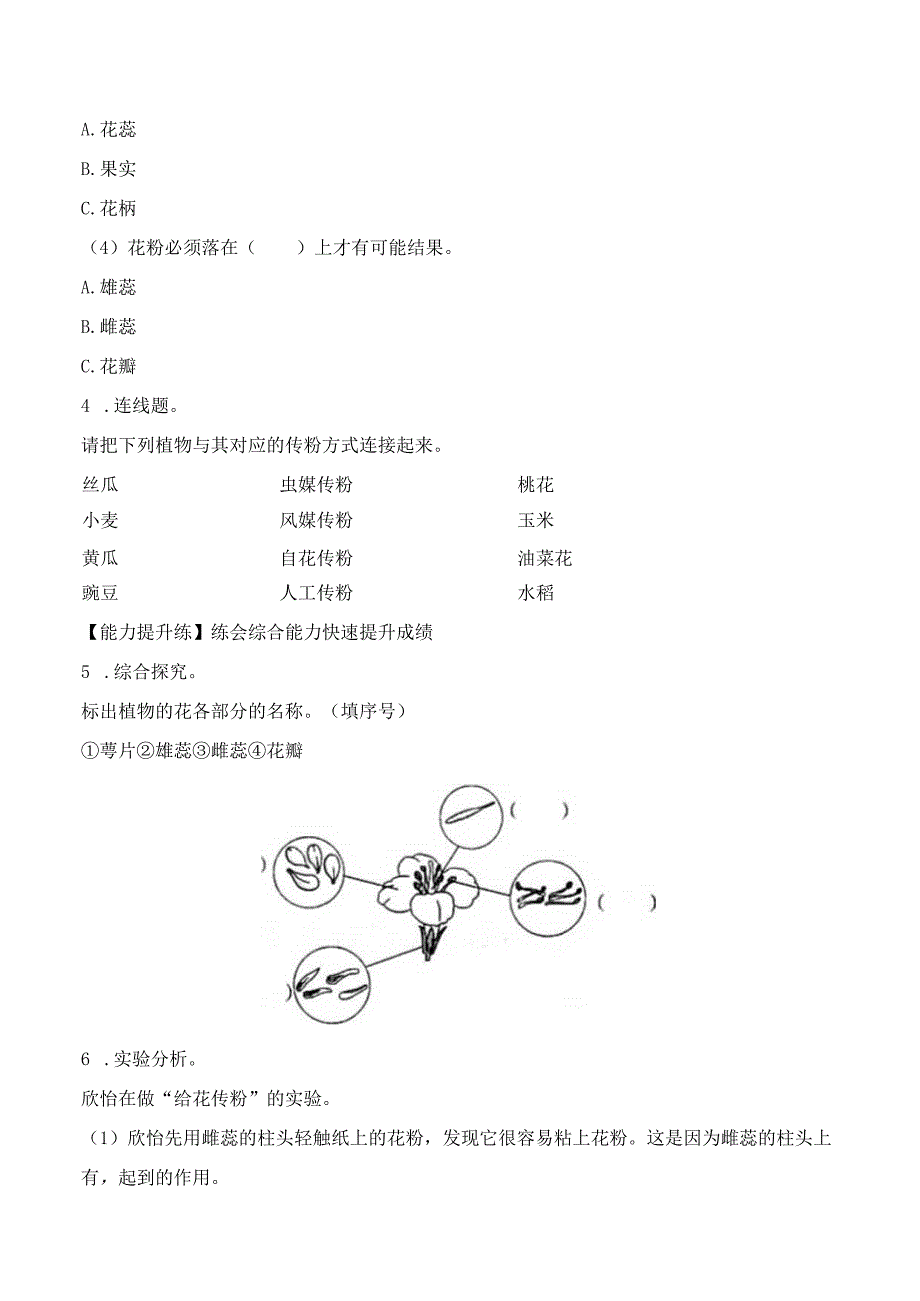 第3课 植物开花了（分层练习）三年级科学下册（苏教版）.docx_第2页