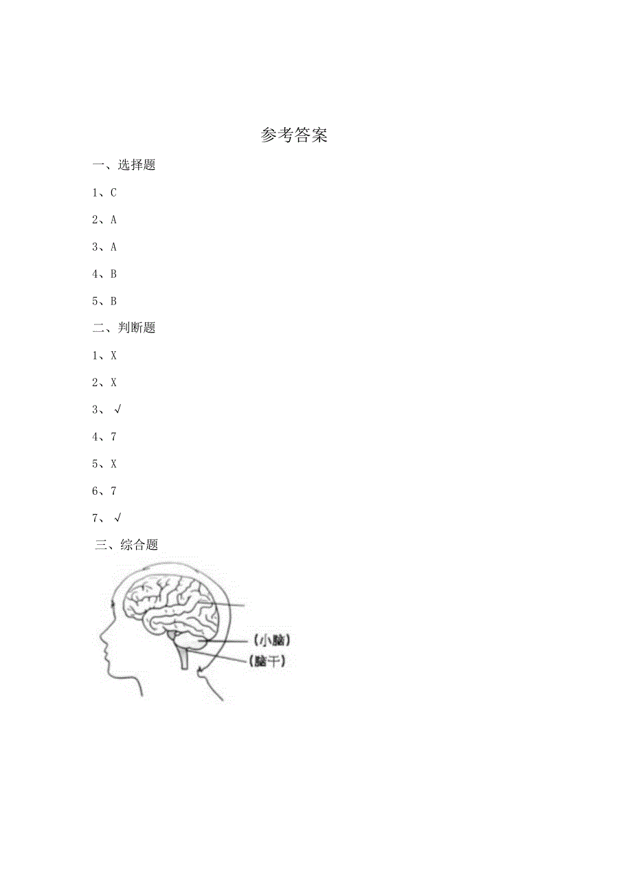 19 我们的大脑（练习）苏教版科学五年级上册.docx_第3页