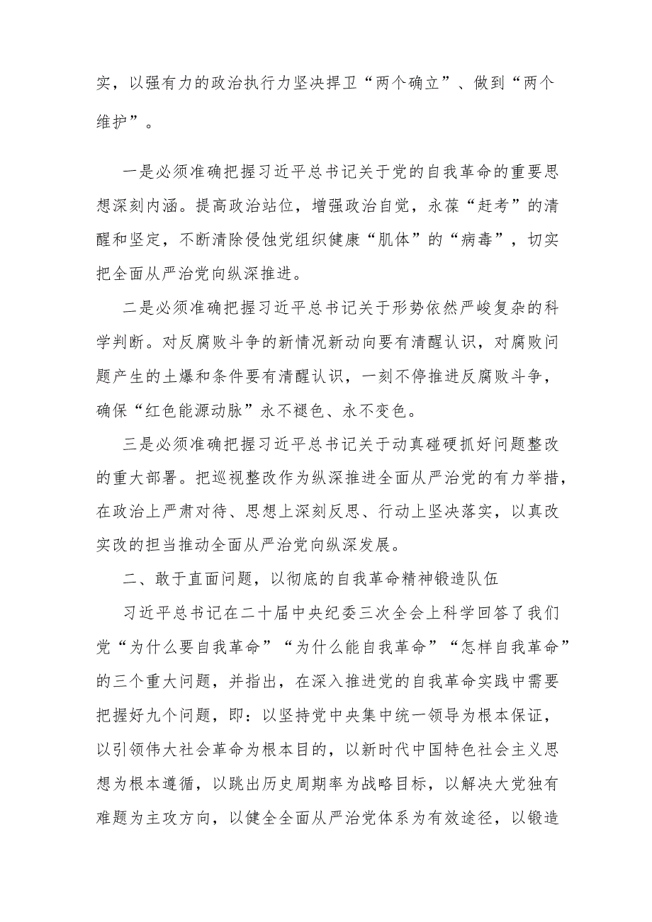 校党委书记在2024年全面从严治党工作会议讲话.docx_第3页