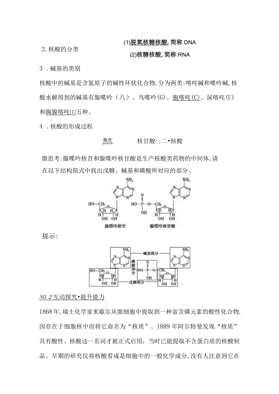 2023-2024学年人教版新教材选择性必修三 第四章第三节 核酸 学案 (5).docx_第2页