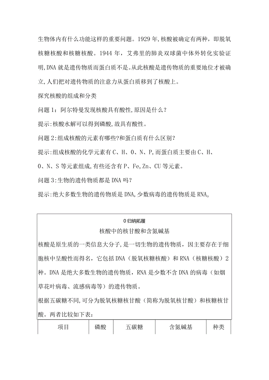 2023-2024学年人教版新教材选择性必修三 第四章第三节 核酸 学案 (5).docx_第3页