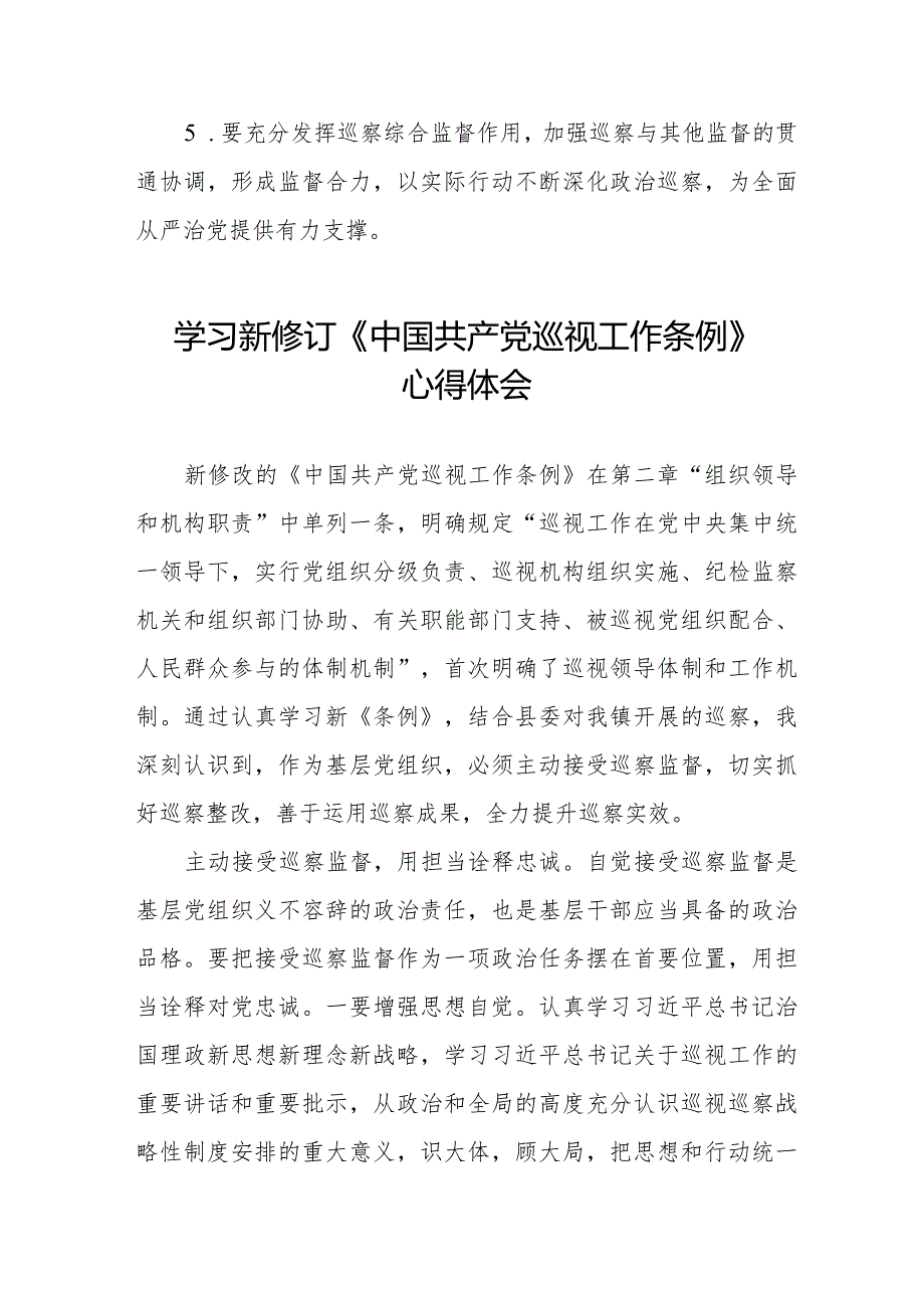 2024学习新修改的《中国共产党巡视工作条例》的心得体会(五篇).docx_第2页