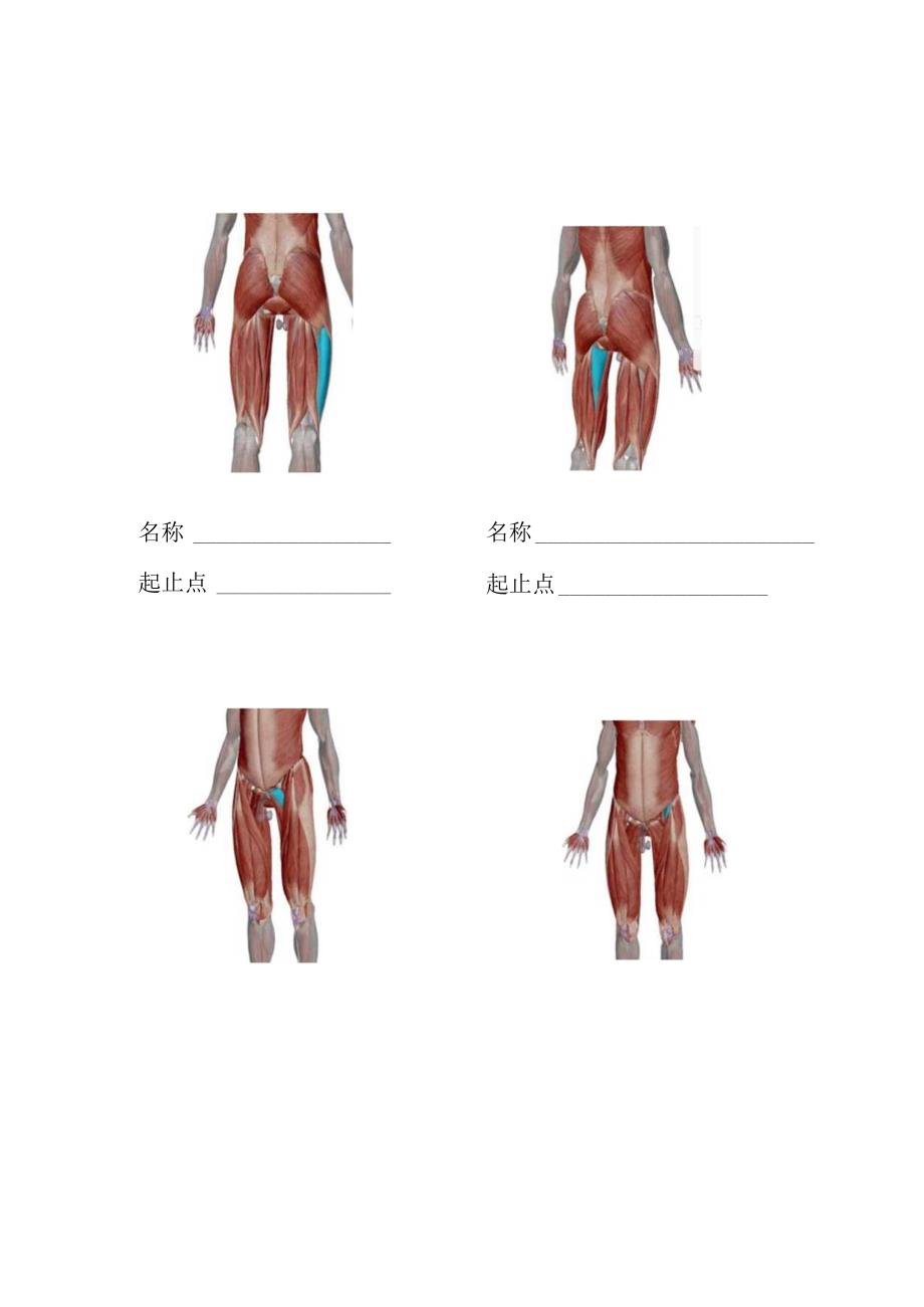 健身管理师新入职员工笔试考题.docx_第2页