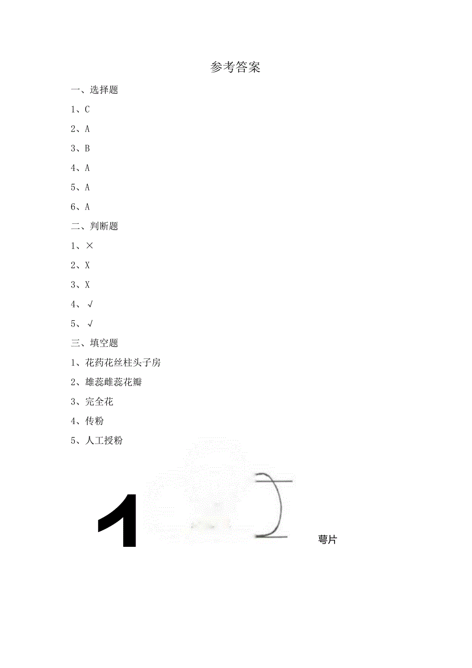 1-5 凤仙花开花了（习题）四年级下册科学 教科版.docx_第3页