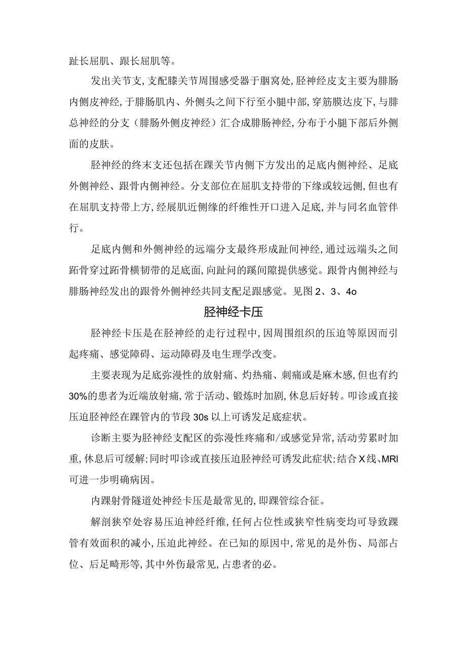 胫神经阻滞疗法适应症、禁忌症及操作要点.docx_第2页