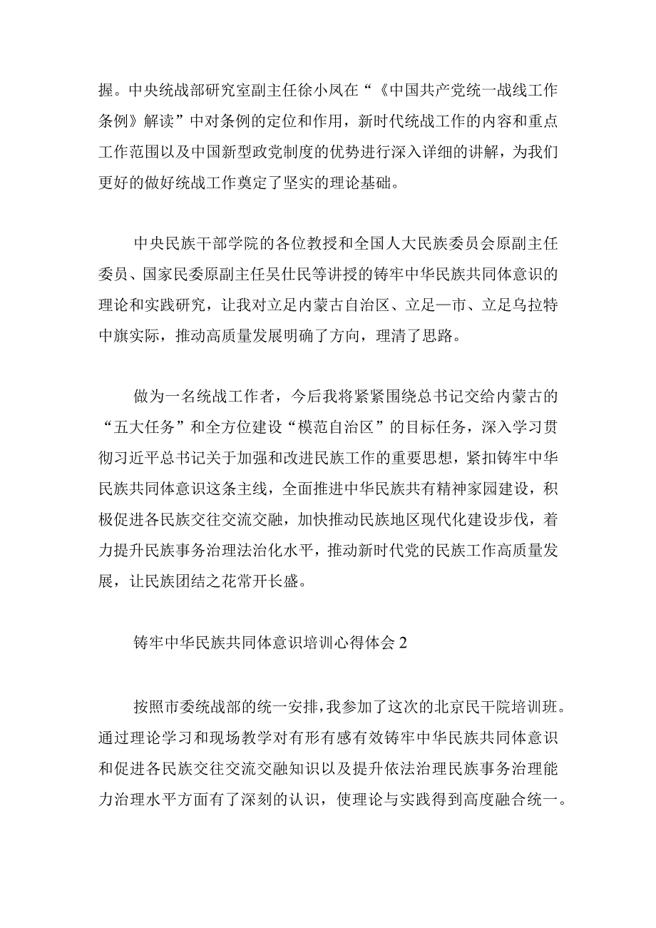 铸牢中华民族共同体意识培训心得体会5篇（精彩范文）.docx_第2页