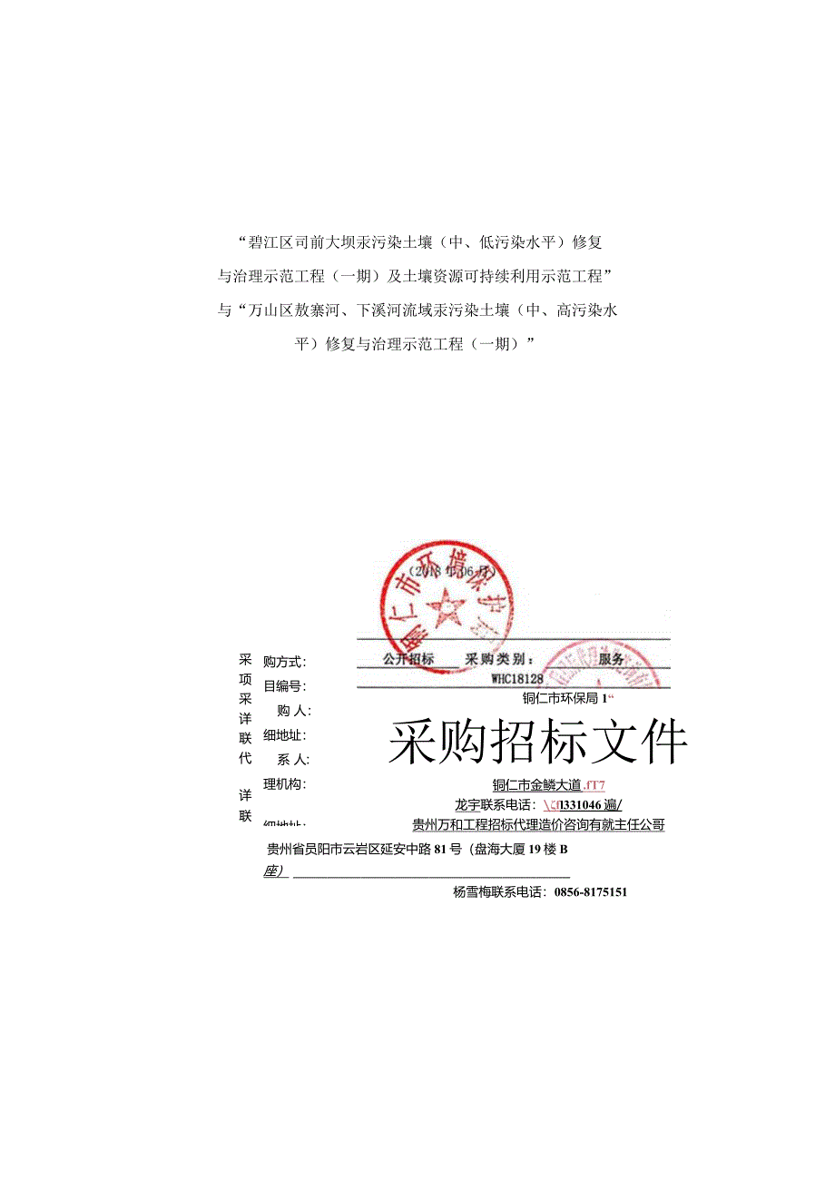 汞污染土壤(中、低污染水平)修复与治理示范工程招投标书范本.docx_第1页