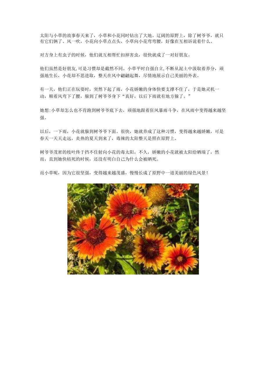 太阳与小草的故事.docx_第1页