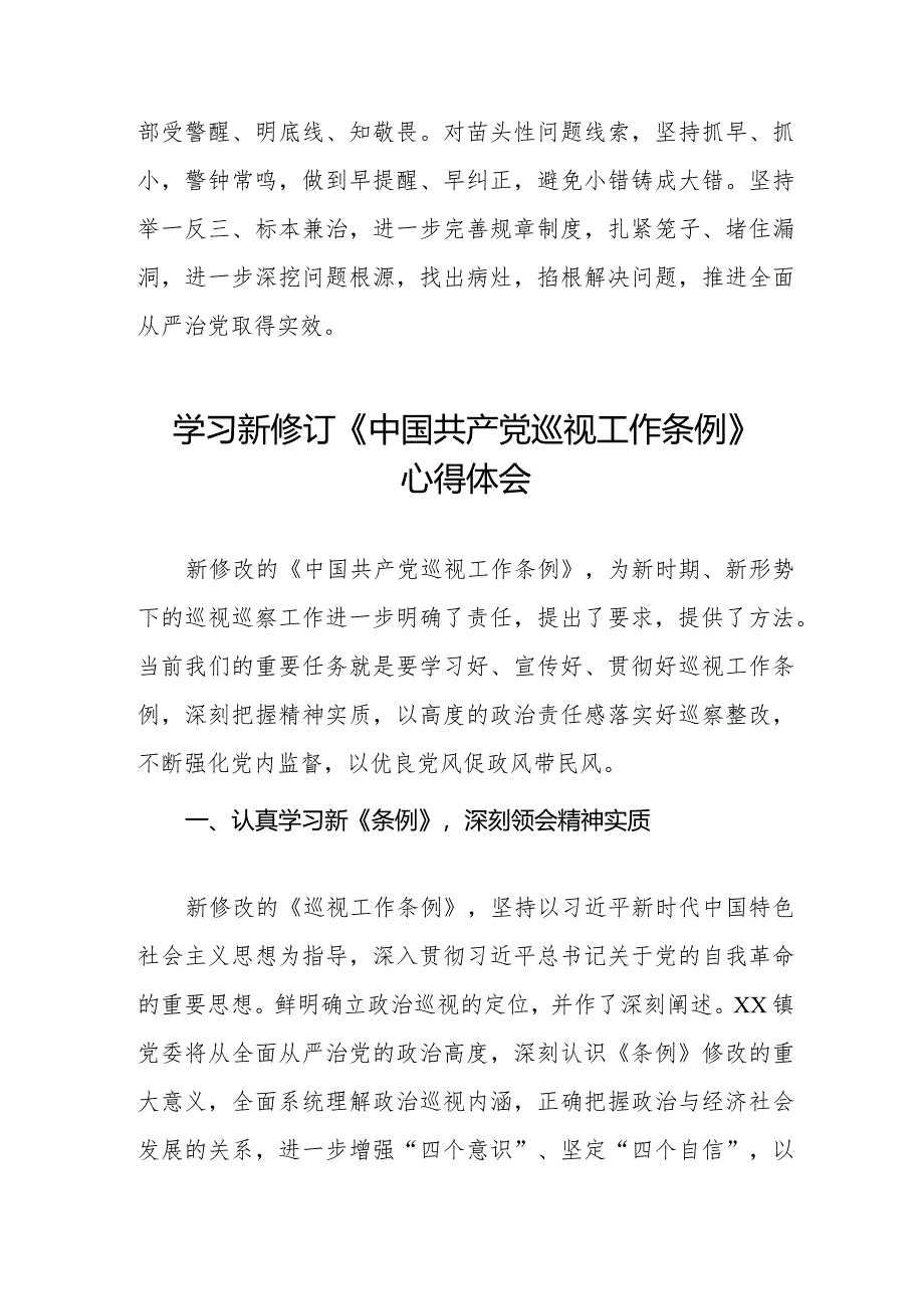 学习2024年新修订中国共产党巡视工作条例的心得体会(五篇).docx_第3页