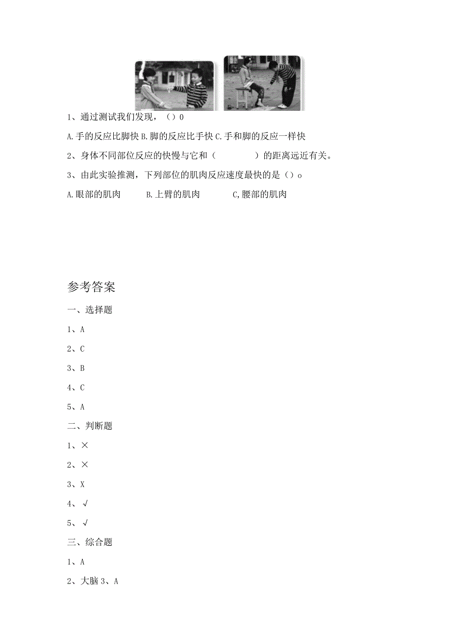 18 从刺激到反应（练习）苏教版科学五年级上册.docx_第2页