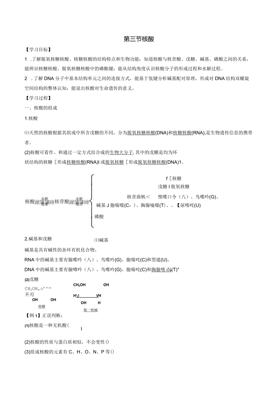 2023-2024学年人教版新教材选择性必修三 第四章第三节 核酸 学案 (4).docx_第1页