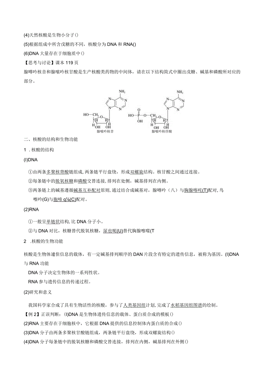 2023-2024学年人教版新教材选择性必修三 第四章第三节 核酸 学案 (4).docx_第2页