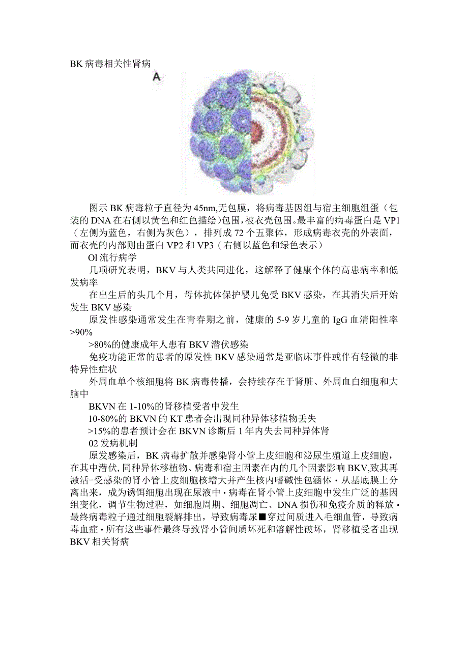 BK病毒相关性肾病管理研究资料.docx_第1页