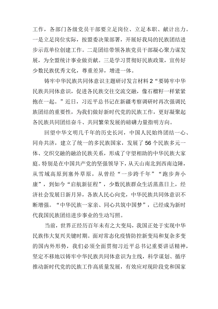 铸牢中华民族共同体意识主题研讨发言材料三篇.docx_第2页