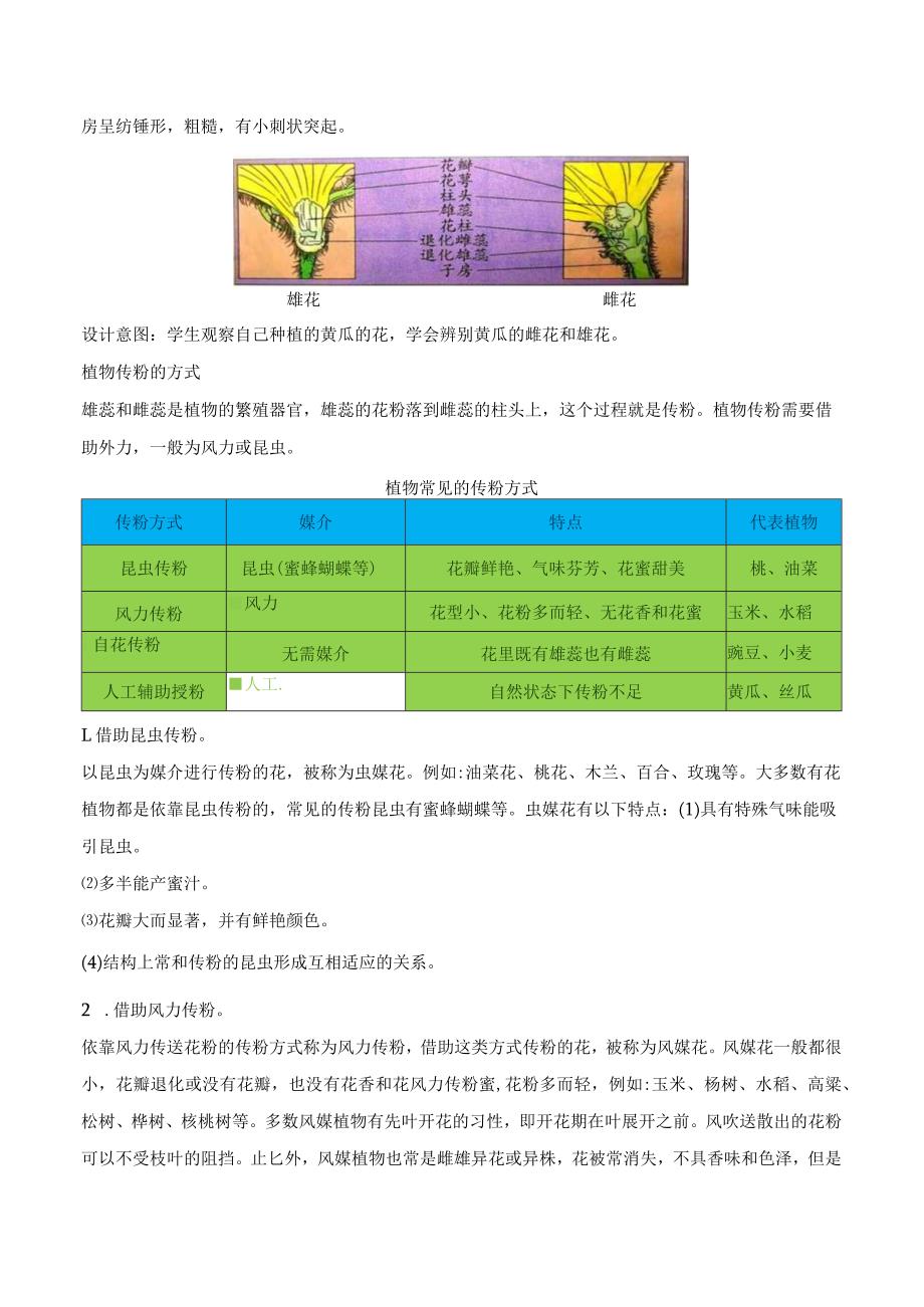 第3课 植物开花了（教学设计）三年级科学下册（苏教版）.docx_第3页