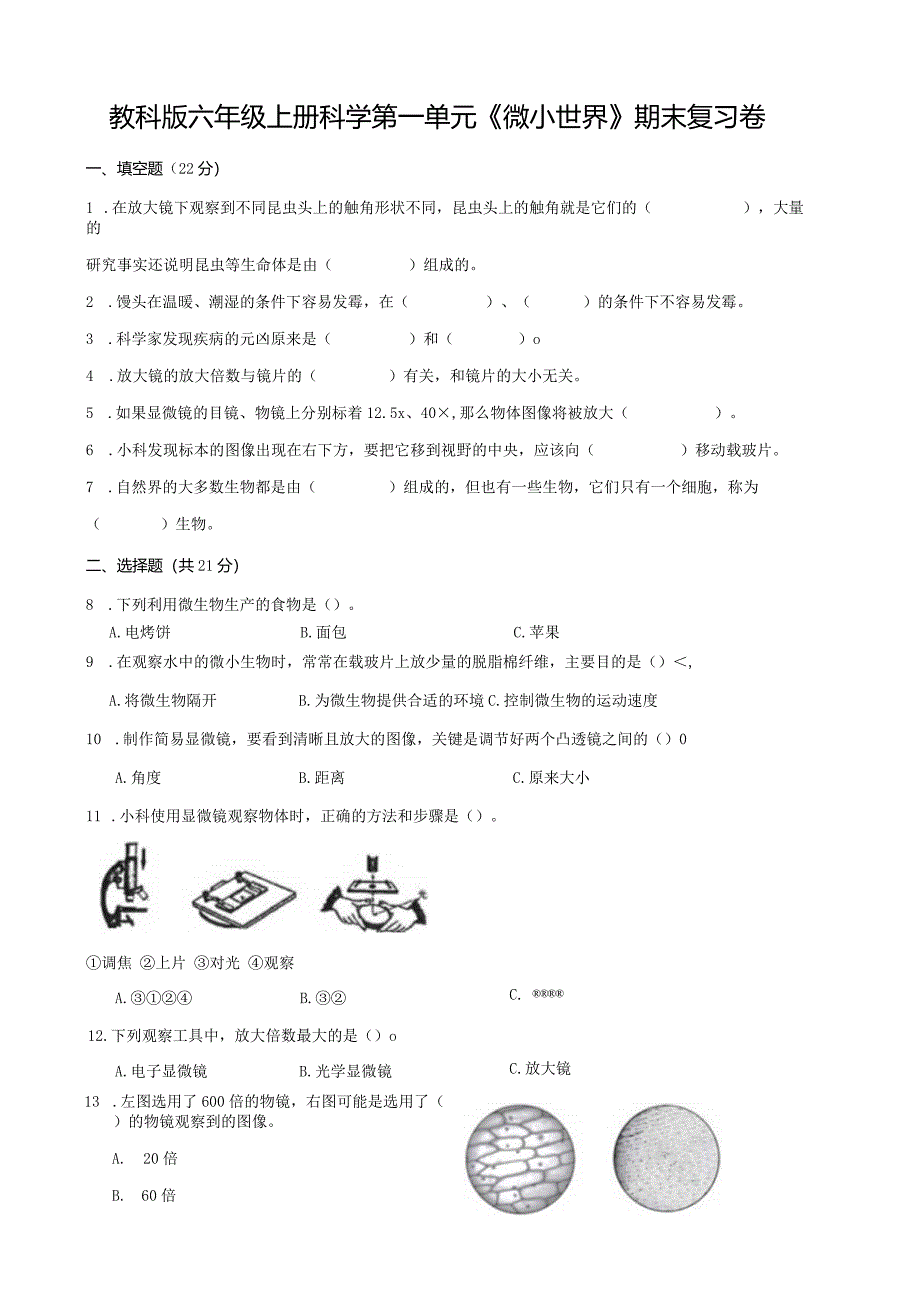 教科版六年级上册科学第一单元《微小世界》测试卷.docx_第1页