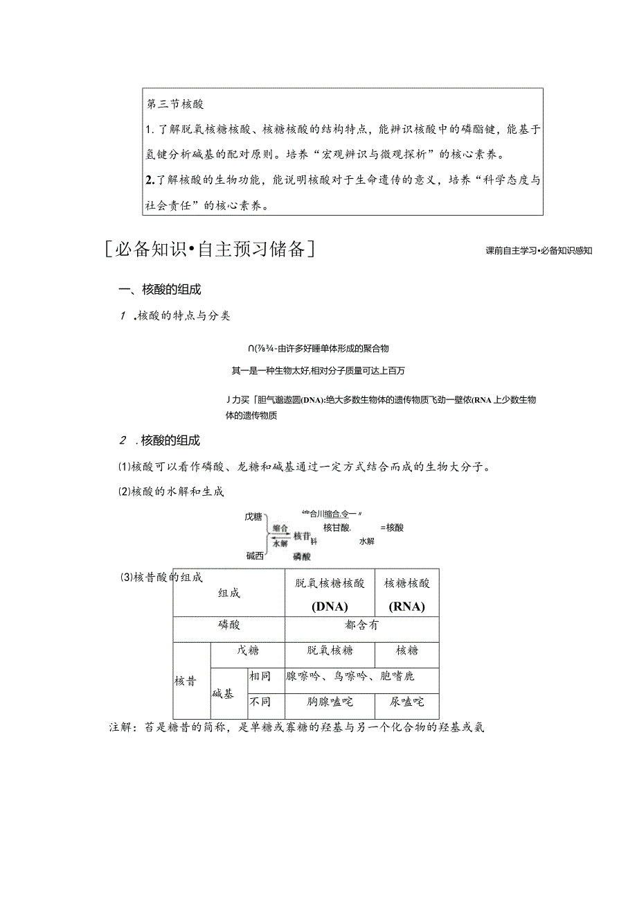 2023-2024学年人教版新教材选择性必修三 第四章第三节 核酸 学案 (6).docx_第1页