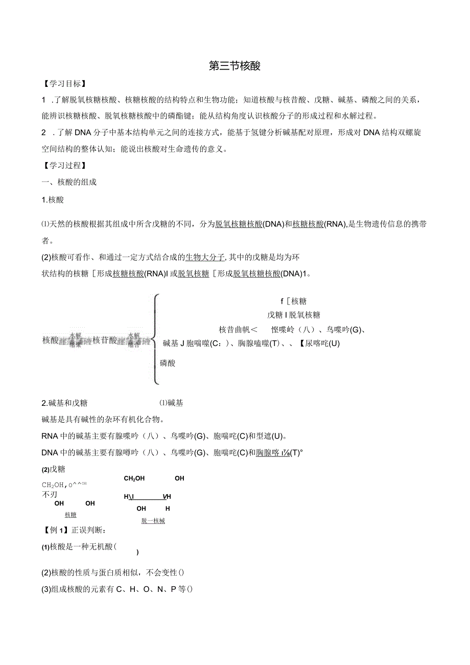 2023-2024学年人教版新教材选择性必修三 第四章第三节 核酸 学案.docx_第1页