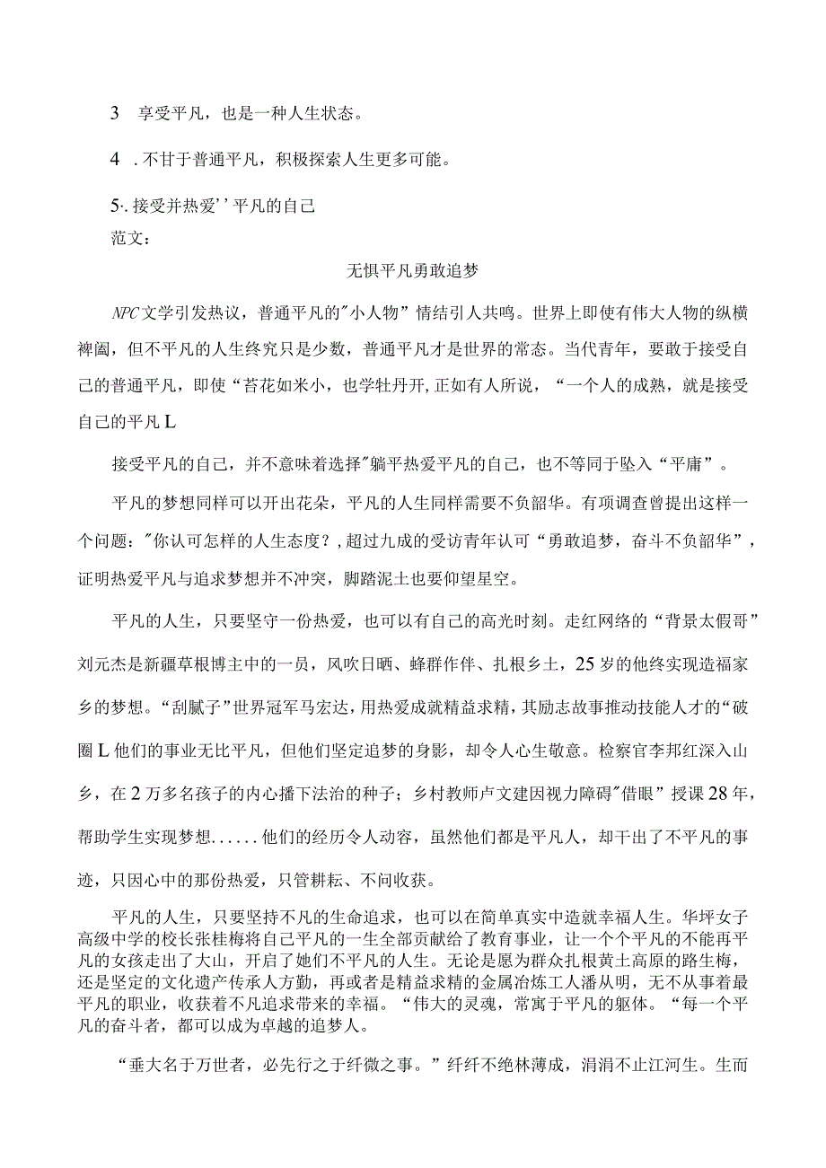 引语式材料作文“NPC文学”审题立意及范文欣赏.docx_第2页