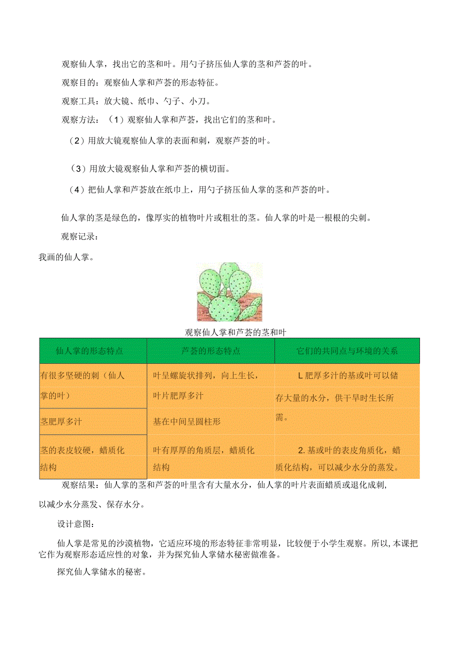 第6课 沙漠中的植物（教学设计）三年级科学下册（苏教版）.docx_第3页