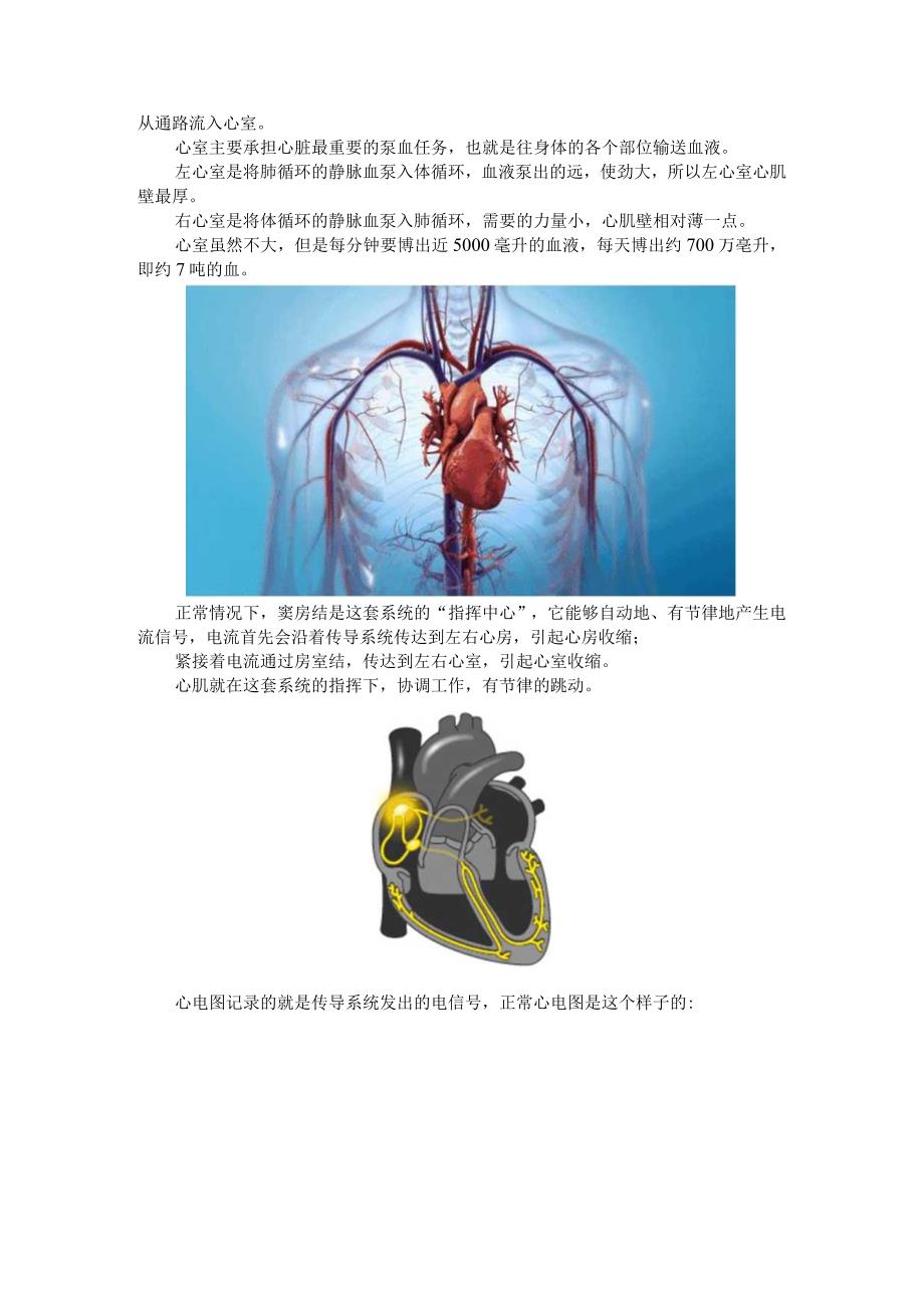 AED（自动体外心脏除颤器）介绍及除颤原理解析.docx_第3页