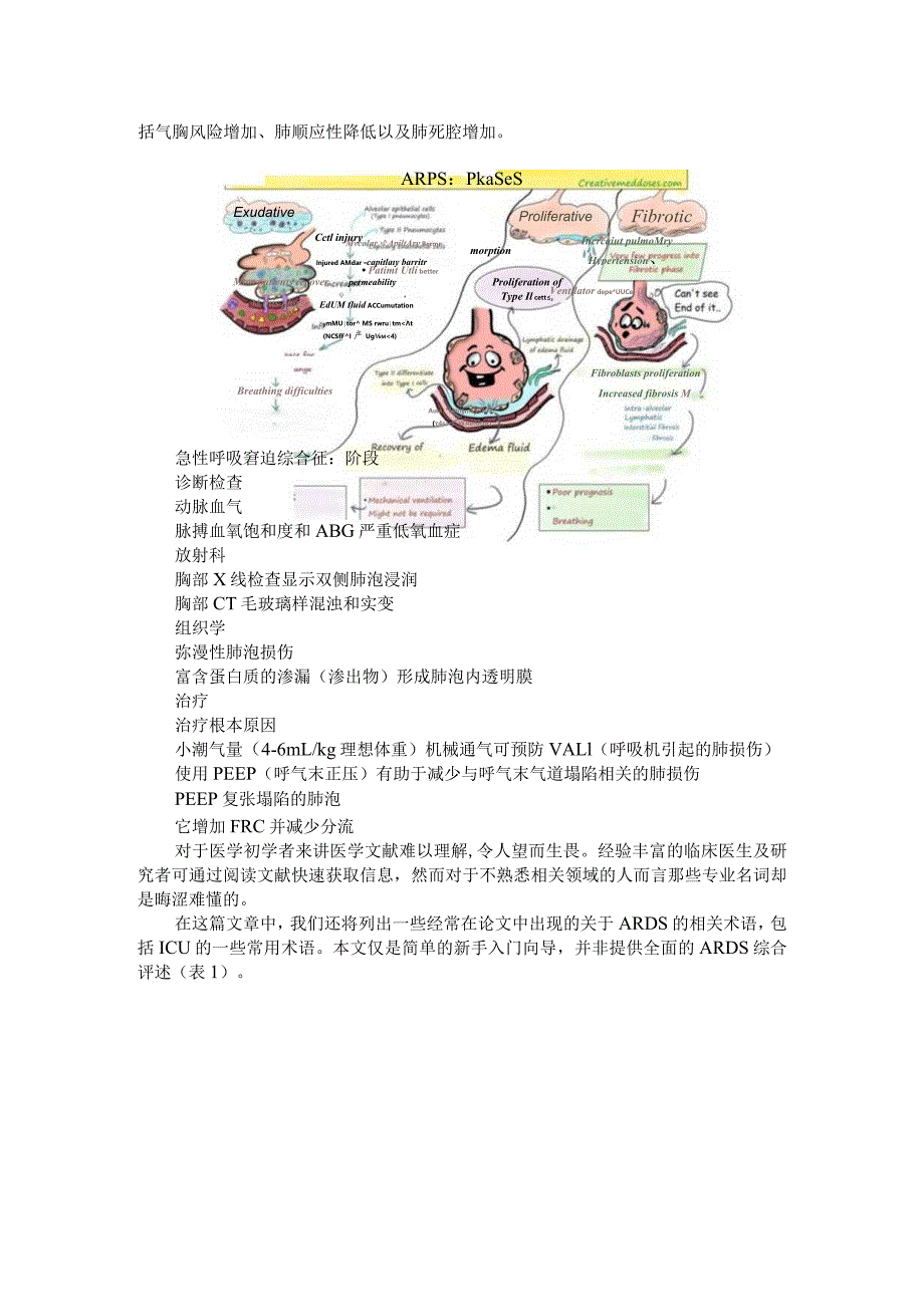 ARDS（急性呼吸窘迫综合征）新手入门(课件).docx_第3页