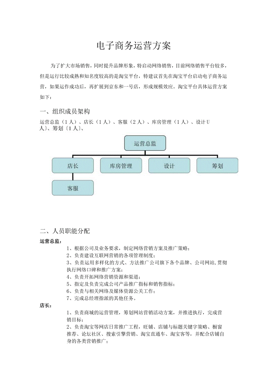 电商启动运营方案.docx_第1页