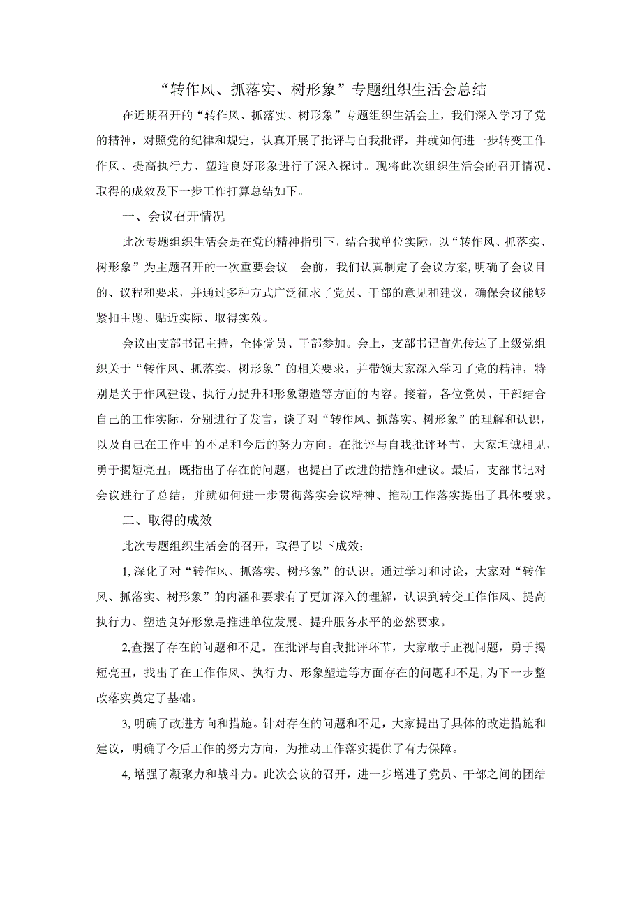 “转作风、抓落实、树形象”专题组织生活会总结.docx_第1页