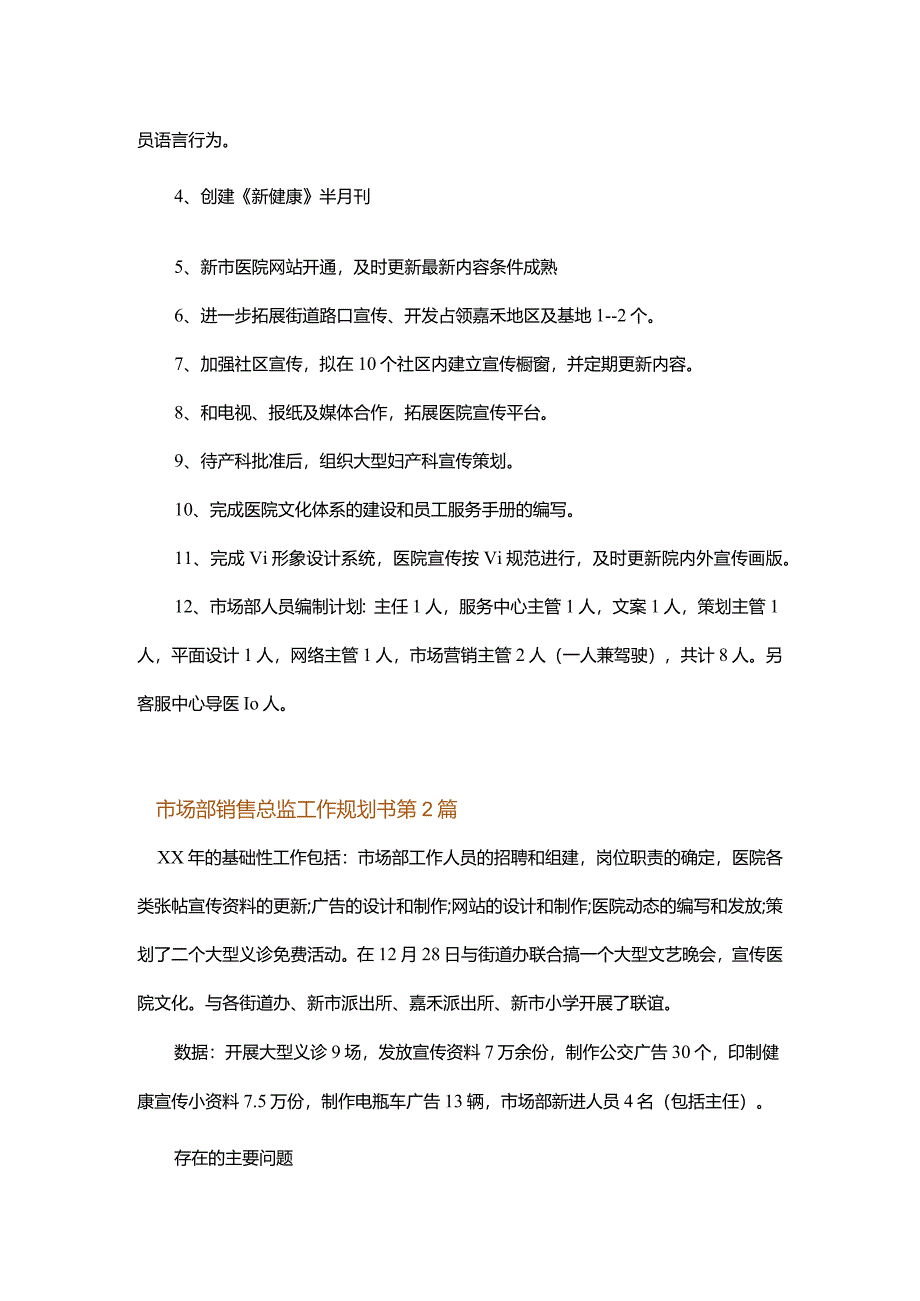 市场部销售总监工作规划书.docx_第2页