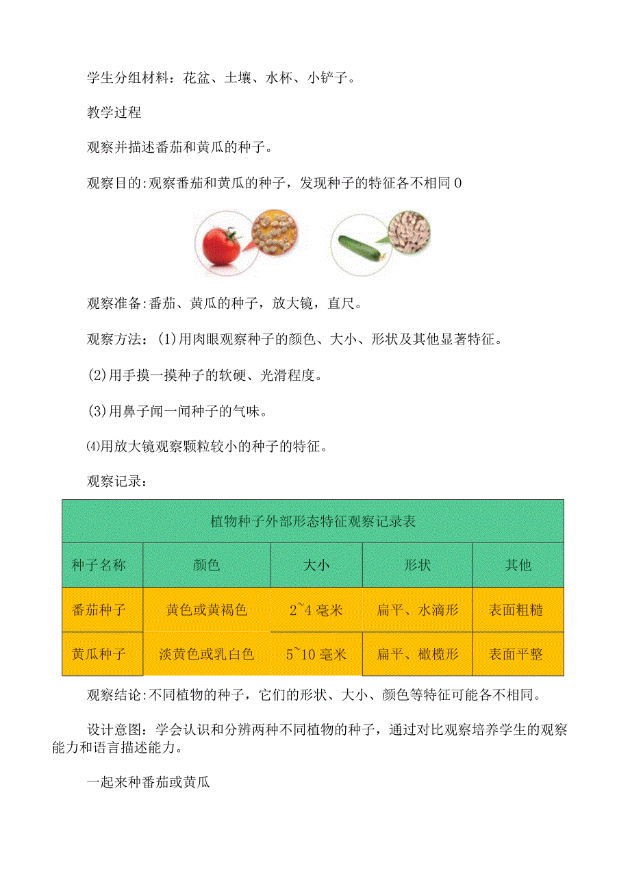 第1课 种子发芽了（教学设计）三年级科学下册（苏教版）.docx_第2页