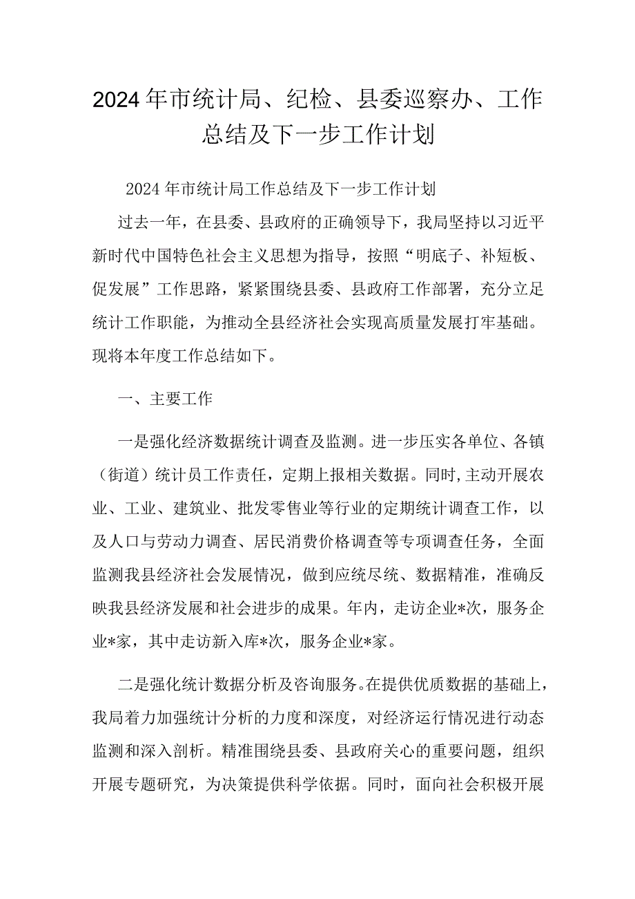 2024年市统计局、纪检、县委巡察办、工作总结及下一步工作计划.docx_第1页