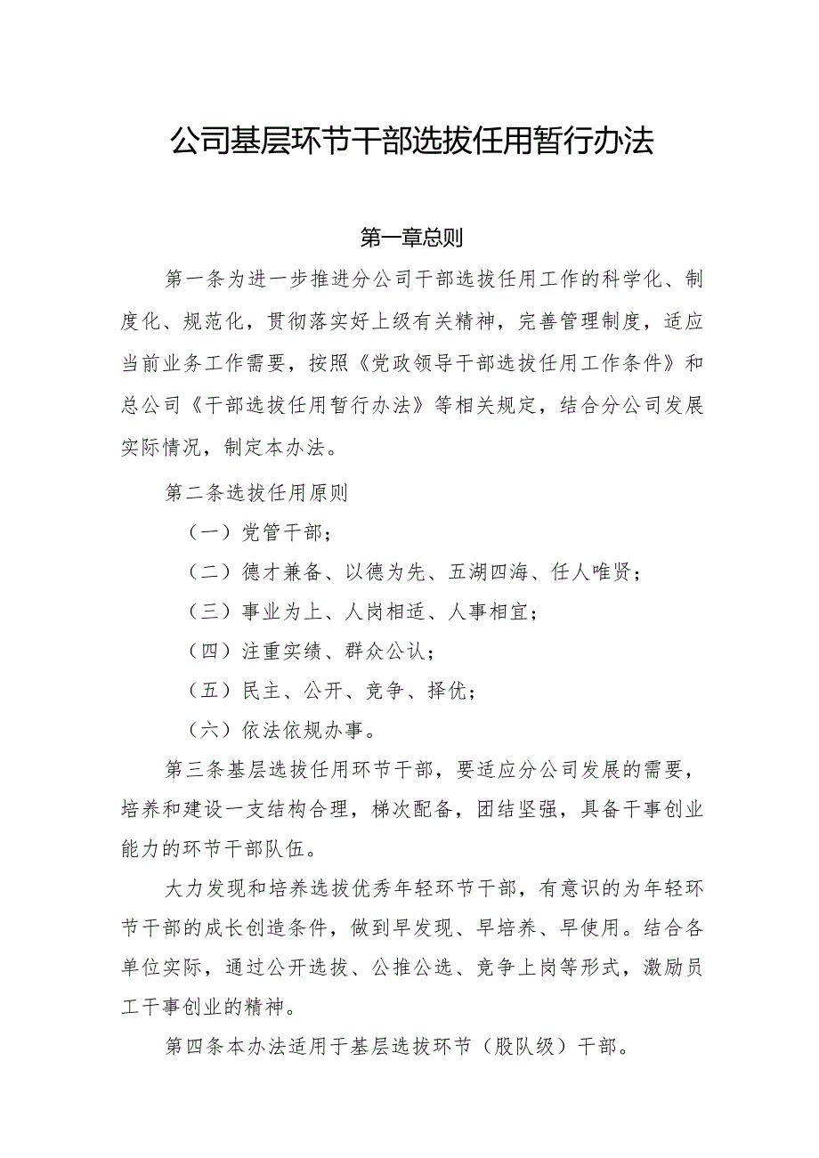 公司基层环节干部选拔任用暂行办法.docx_第1页