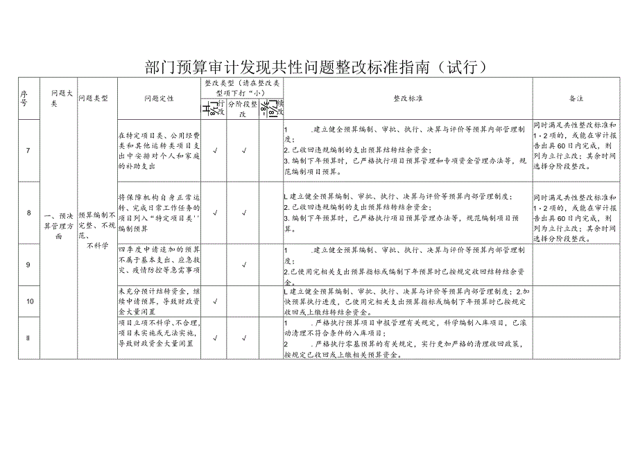 部门预算审计发现共性问题整改标准指南.docx_第2页