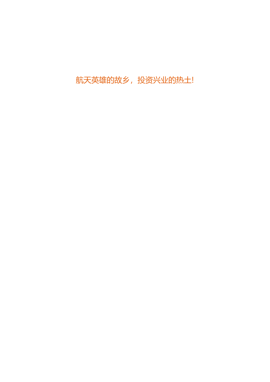 XX年湖北X企业投资项目指南.docx_第2页