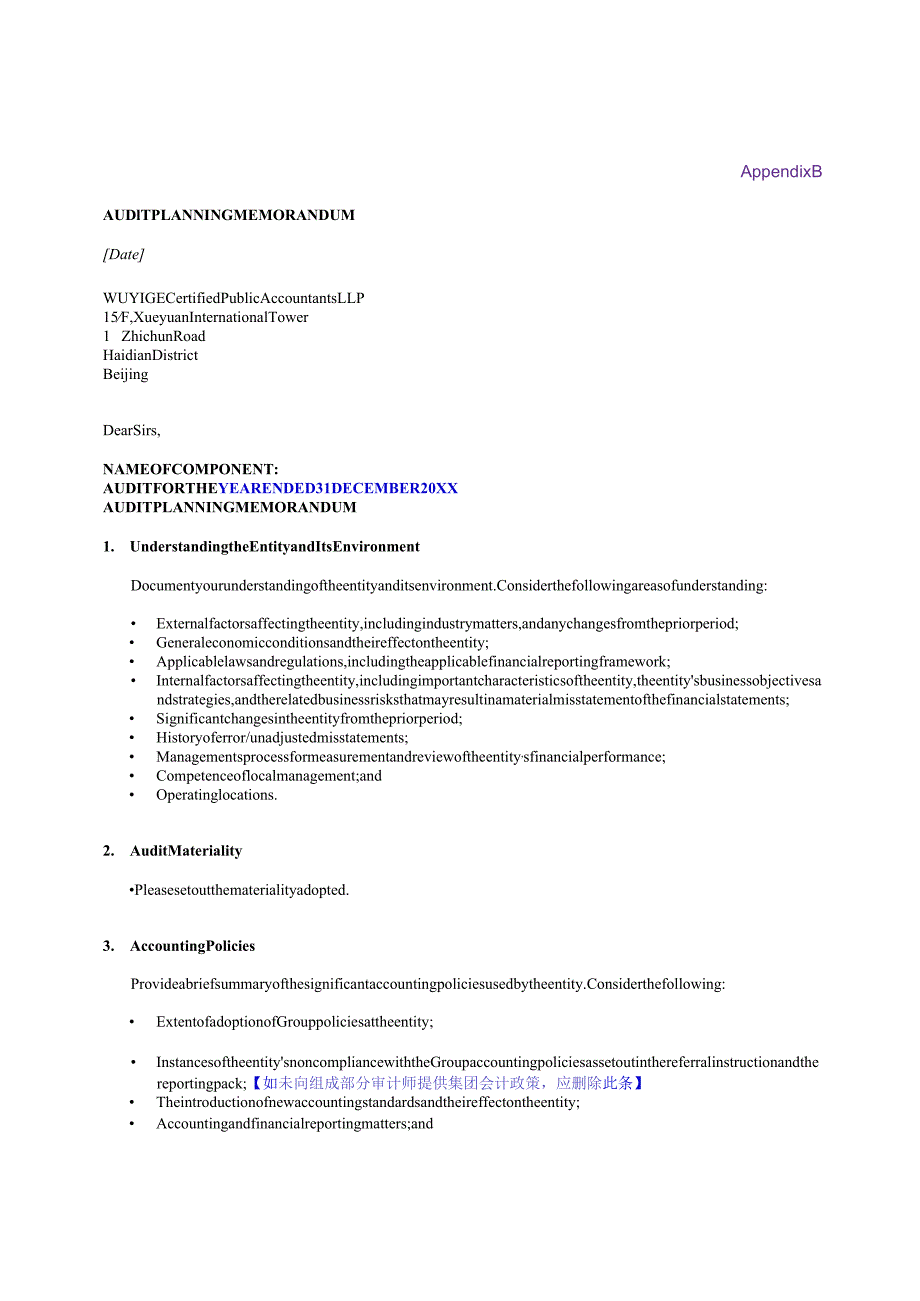 Appendix B_Audit Planning Memorandum.docx_第1页