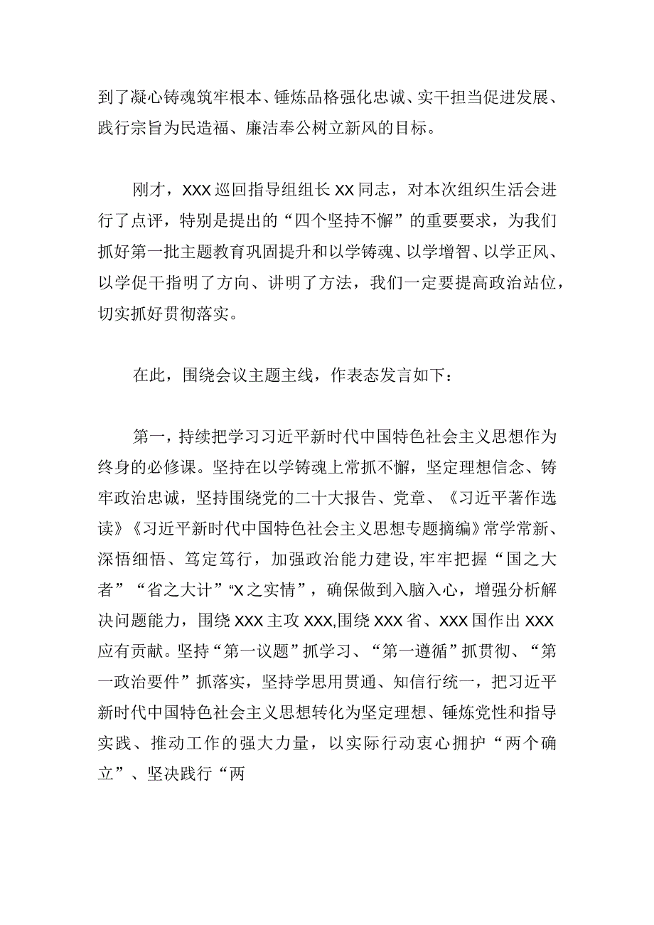 XX党支部主题教育专题组织生活会上的总结发言提纲.docx_第2页