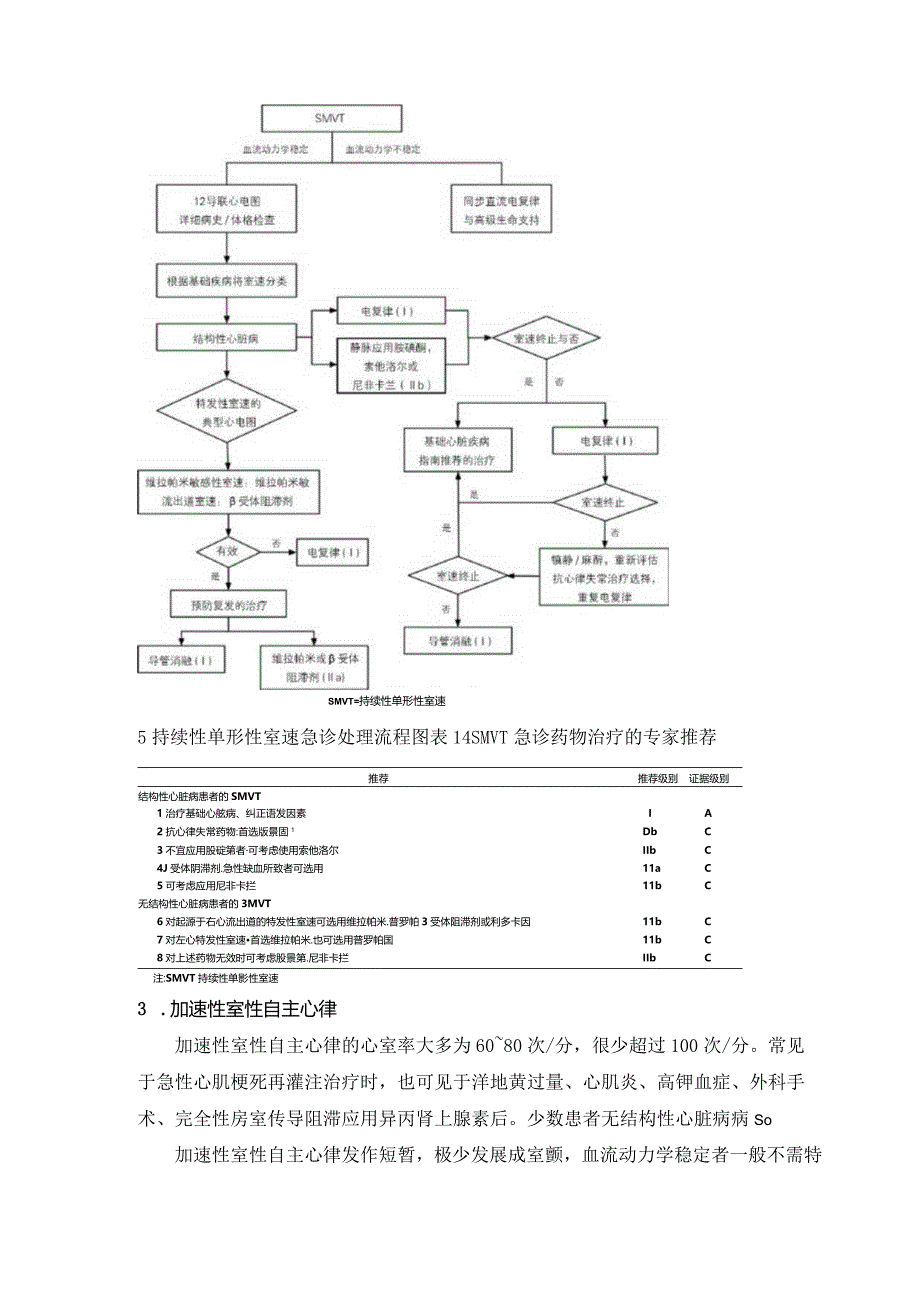 室性心律失常的急诊处理指南共识.docx_第3页