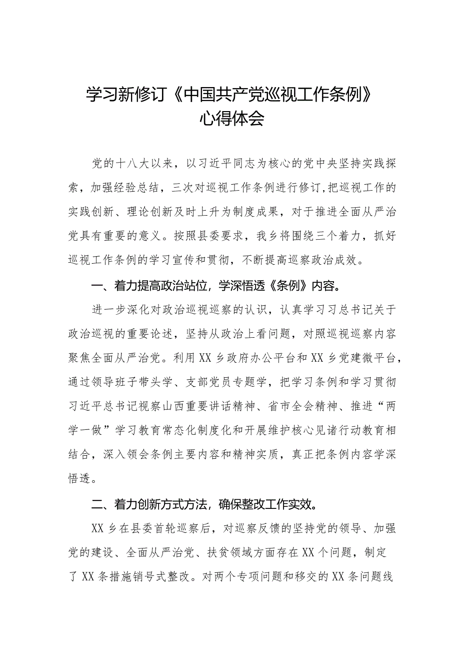 乡干部学习贯彻2024版新修订《中国共产党巡视工作条例》学习体会交流发言(五篇).docx_第1页