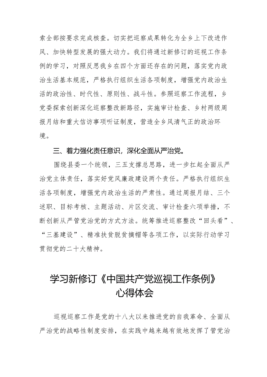 乡干部学习贯彻2024版新修订《中国共产党巡视工作条例》学习体会交流发言(五篇).docx_第2页