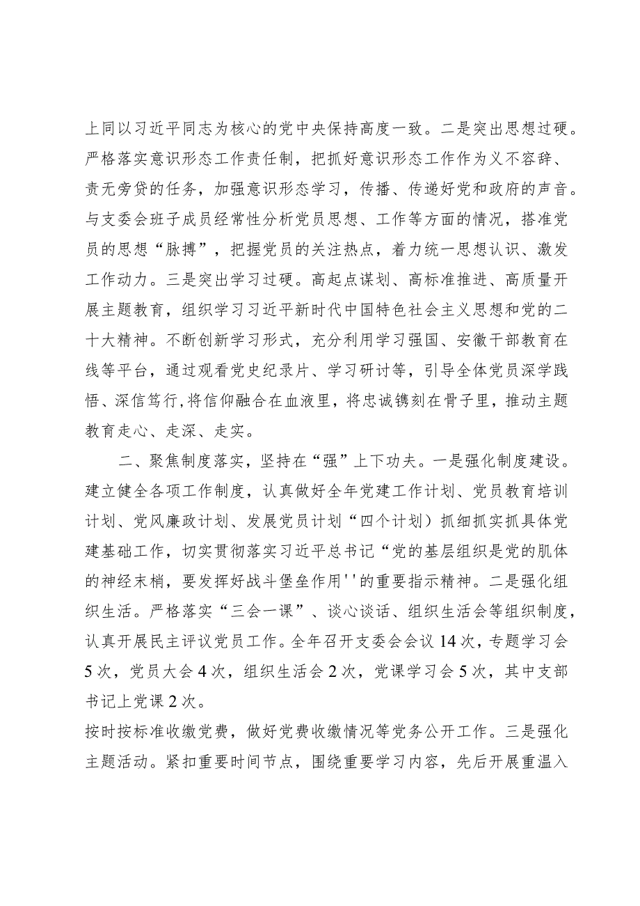 党支部书记抓党建述职报告材料八篇.docx_第2页