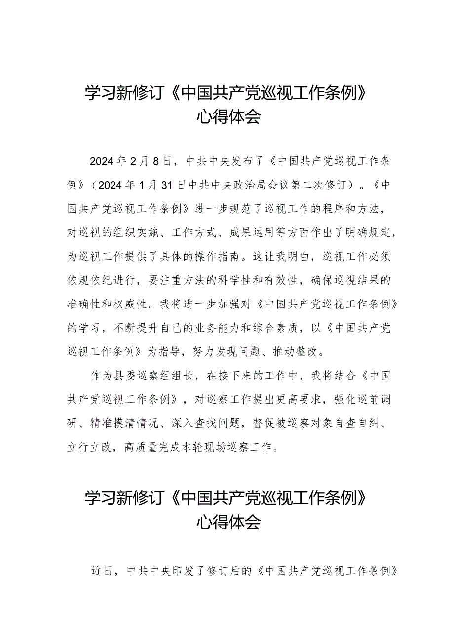 巡察干部学习2024新修订中国共产党巡视工作条例心得体会(五篇).docx_第1页