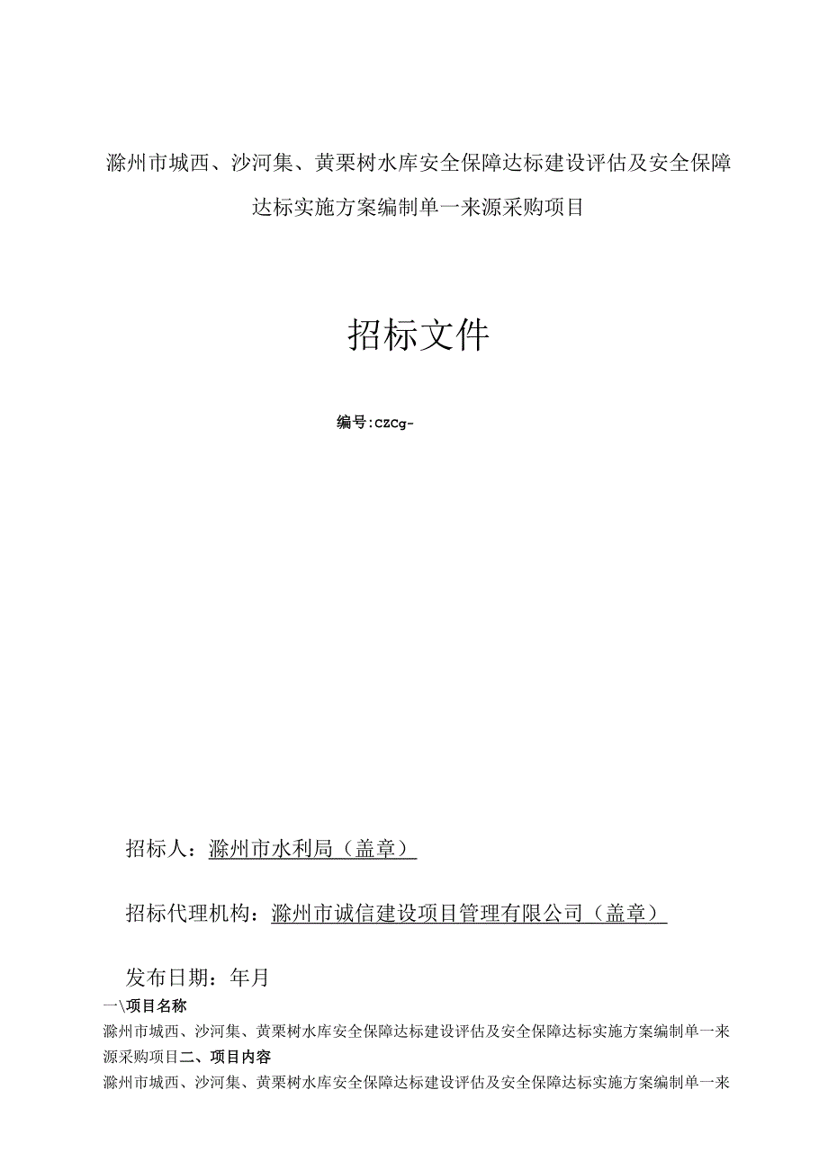 水库安全保障达标建设评估及安全保招投标书范本.docx_第1页