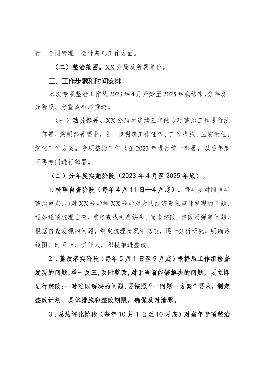 审计问题专项整治工作方案.docx_第2页