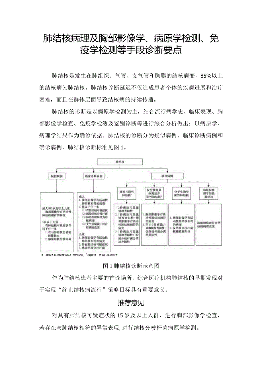 肺结核病理及胸部影像学、病原学检测、免疫学检测等手段诊断要点.docx_第1页