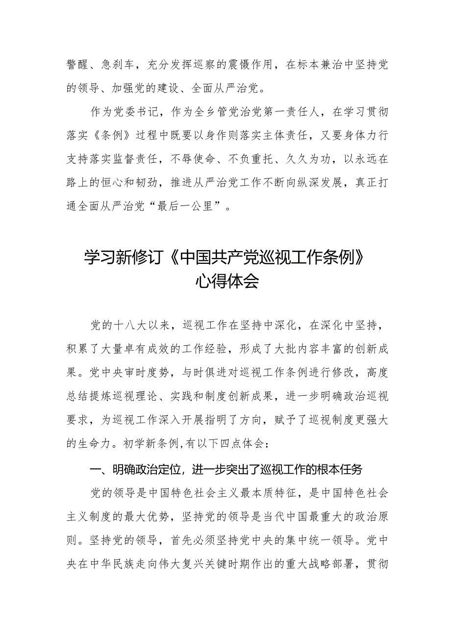 乡镇书记学习2024新修订中国共产党巡视工作条例心得体会(五篇).docx_第3页