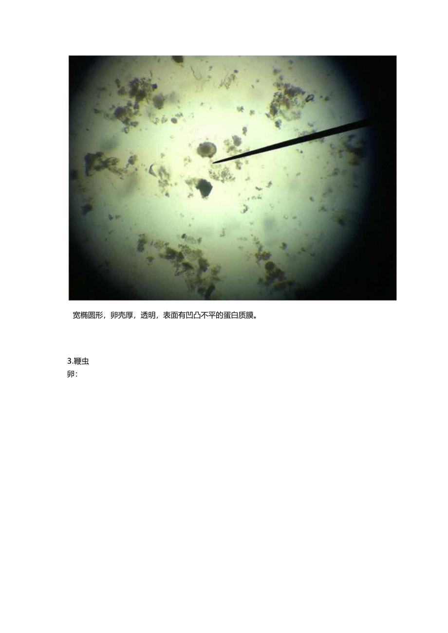 寄生虫学学习资料：寄生虫实验.docx_第2页