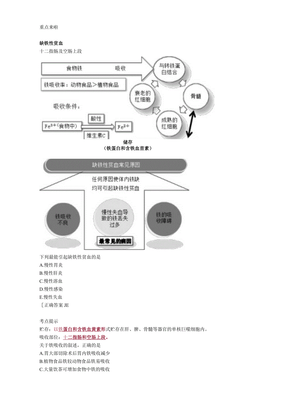 心血管内科主治医师资格笔试冲刺考点解析 (5)：相关专业知识.docx_第1页