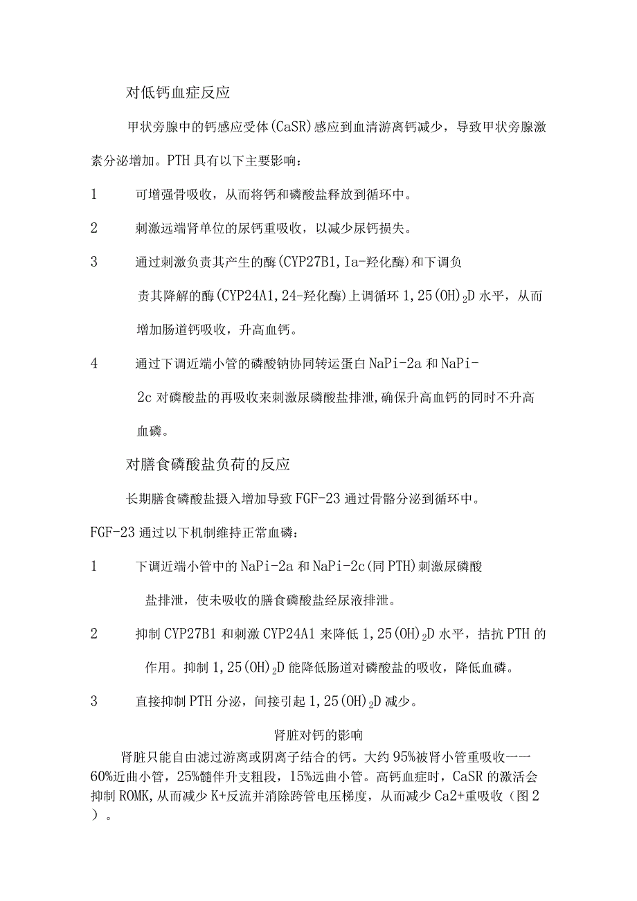 临床肾脏对钙影响及高钙血症、低血钙症、高磷血症等钙磷代谢紊乱病因和诊断思路.docx_第2页