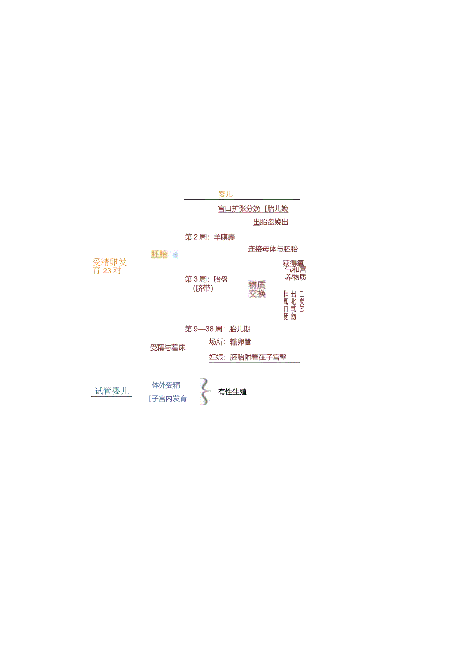 初中：《代代相传的生命》思维导图.docx_第2页