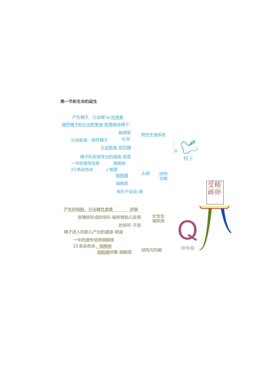 初中：《代代相传的生命》思维导图.docx_第3页